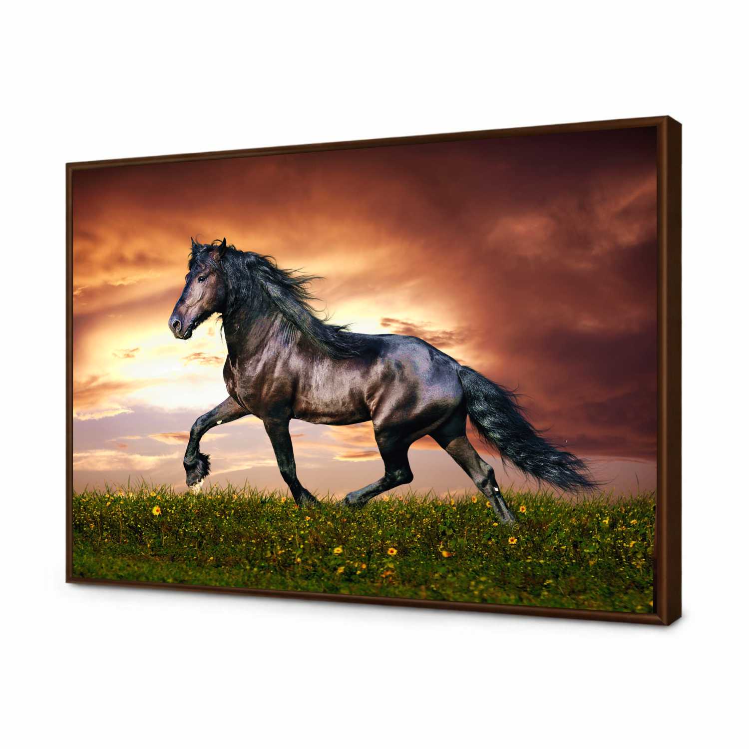 Quadro Decorativo Cavalo Negro nos Campos